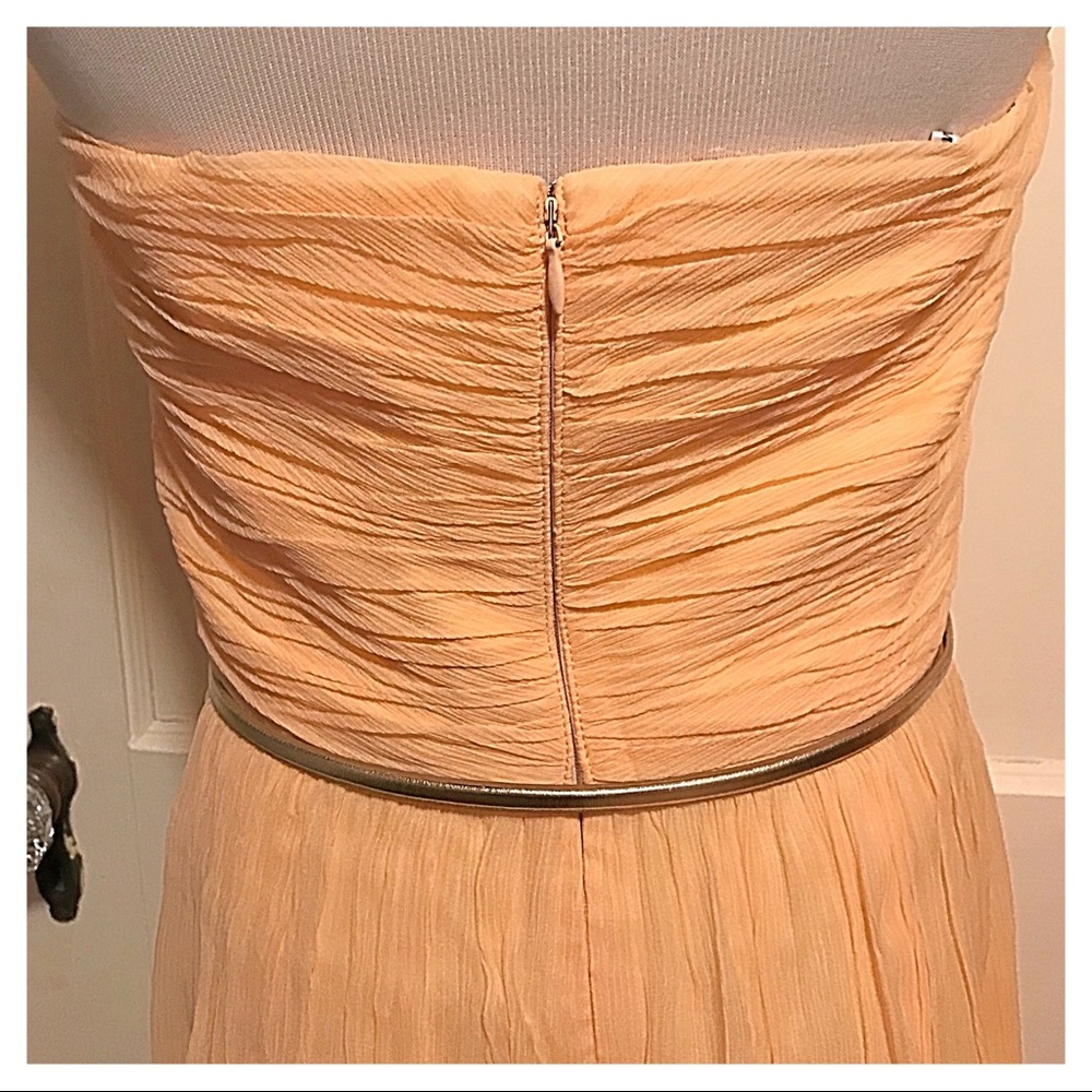 {Donna Morgan} Silk Chiffon Dress, 6 - Picture 5 of 5